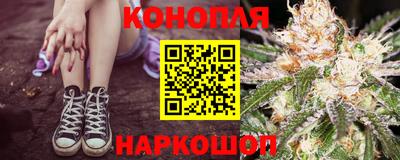 прущие крисы Аргун