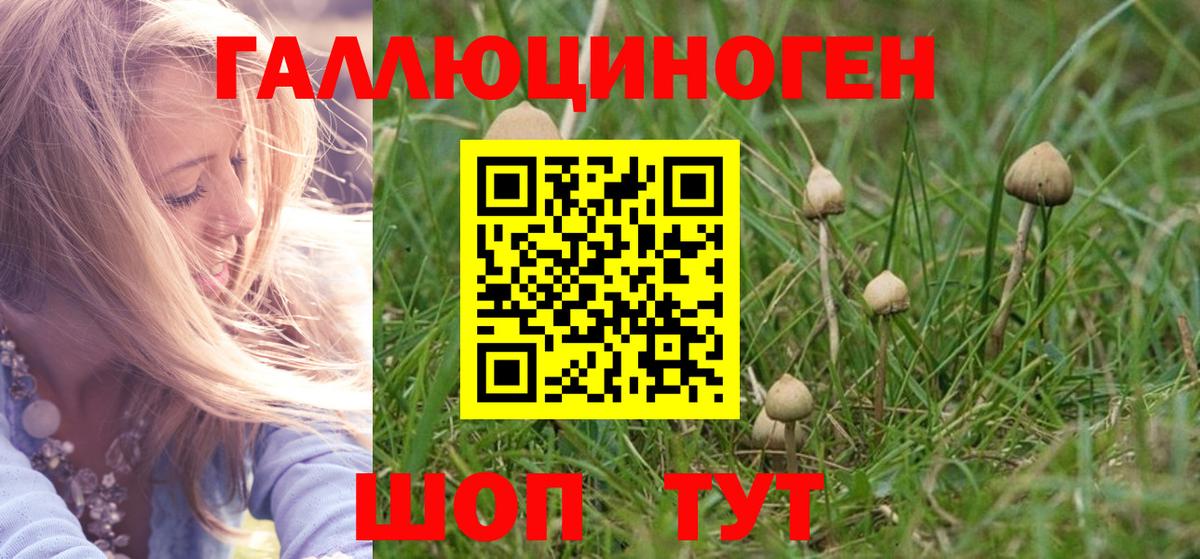 Галлюциногенные грибы мухоморы Владикавказ